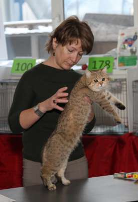 �������� ����� '������� ���-�����' 30 ������-1 ������� 2013., ������������ ��� 2240